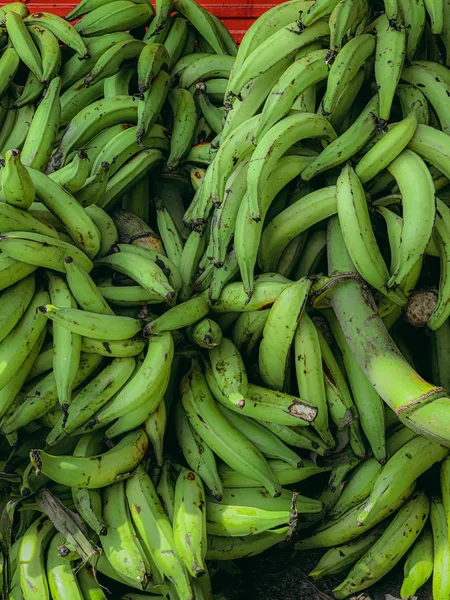 Green Plantains, 3